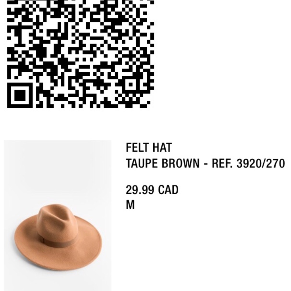 Zara felt hat